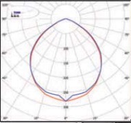  ������ ���� �����